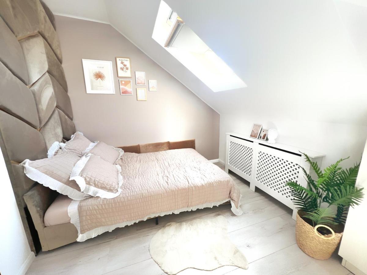 Studio Poienii - A Cozy Stay 5 Min Away From The Center Bistriţa Dış mekan fotoğraf